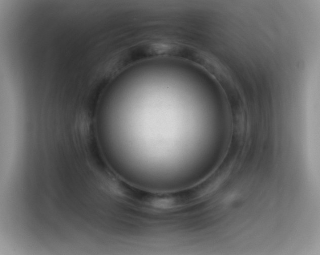 X0000113560653200909251059