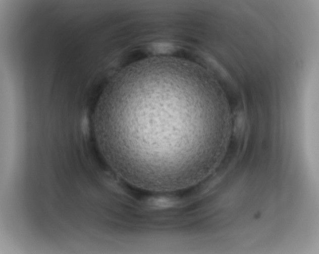 X0000113560655200909251059