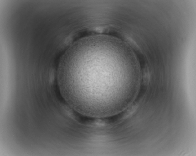 X0000113560656200909251059