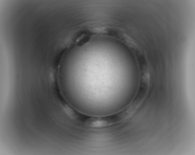 X0000113560658200909251059