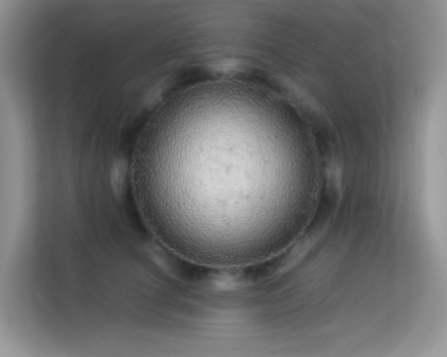 X0000113560660200909251059