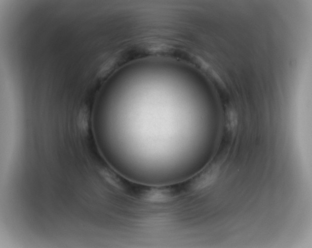 X0000113560664200909251059