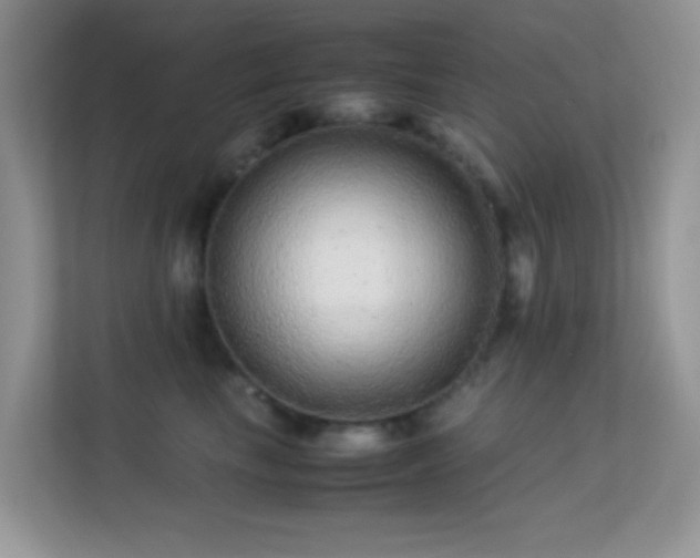 X0000113560665200909251059