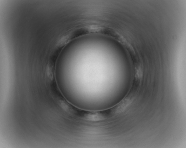 X0000113560666200909251059