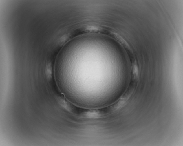 X0000113560668200909251059