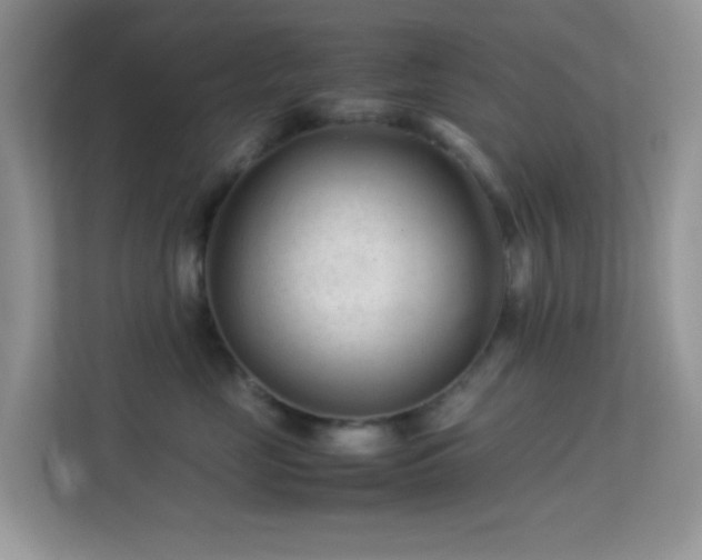 X0000113560669200909251059