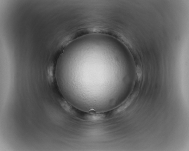 X0000113560670200909251059