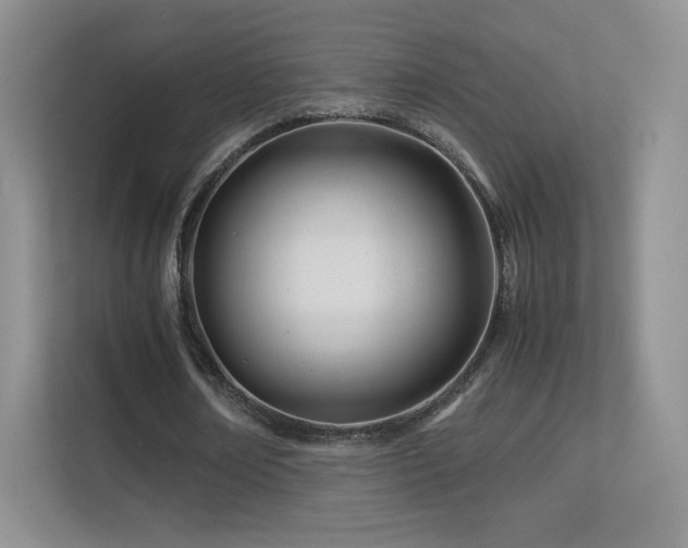 X0000113560674200909251059