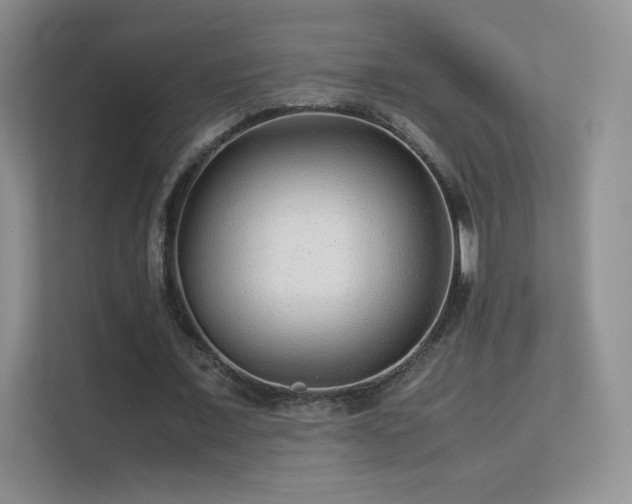 X0000113560675200909251059