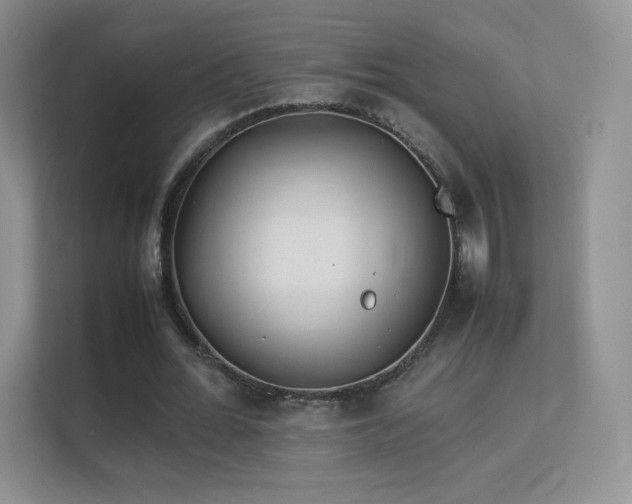 X0000113560676200909251059