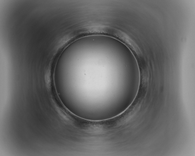 X0000113560677200909251059