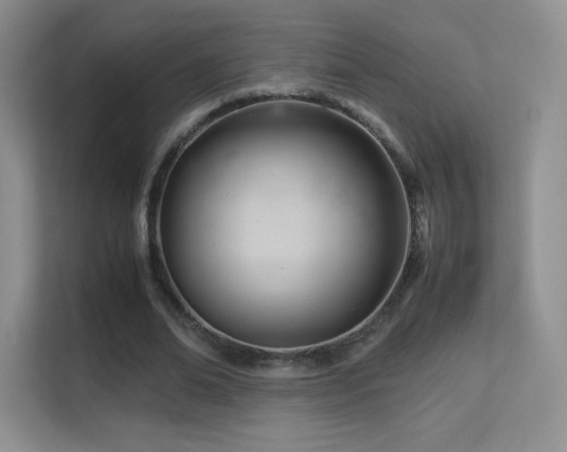 X0000113560678200909251059