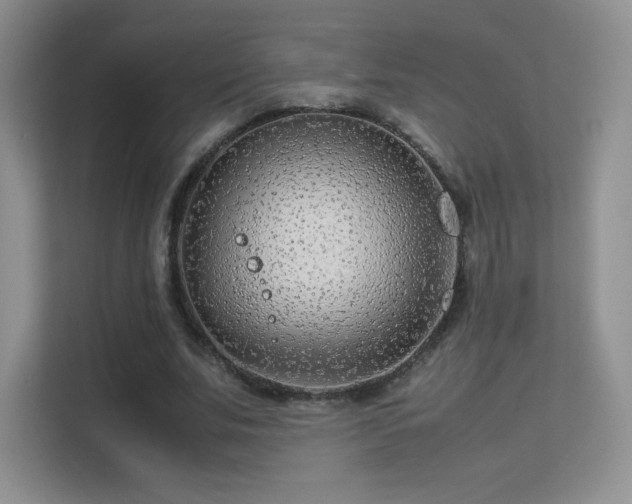 X0000113560679200909251059