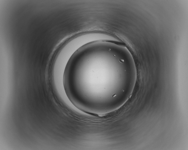 X0000113560680200909251059