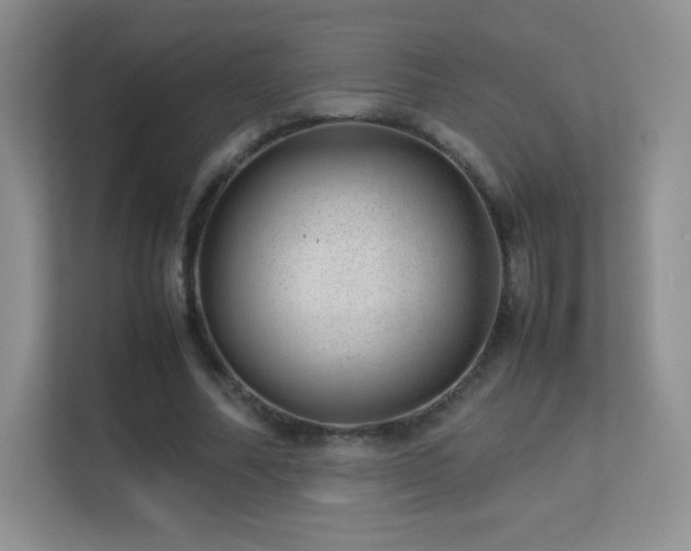 X0000113560682200909251059