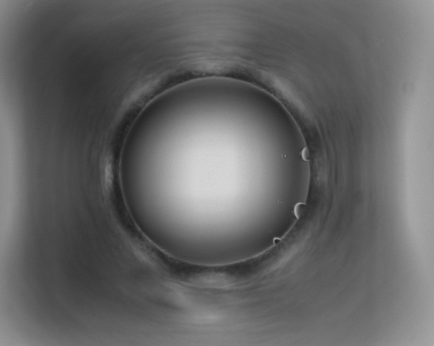 X0000113560685200909251059