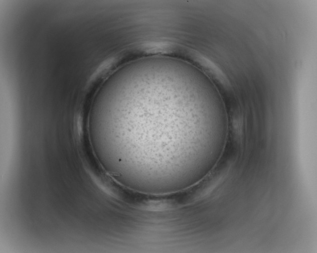 X0000113560686200909251059
