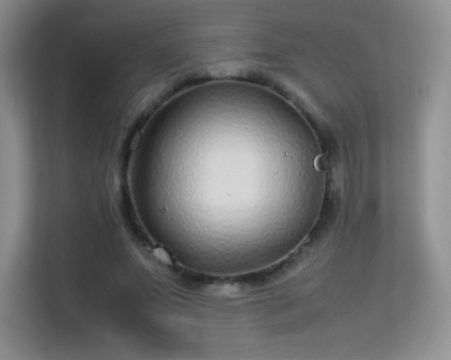 X0000113560687200909251059