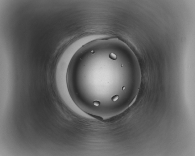 X0000113560688200909251058