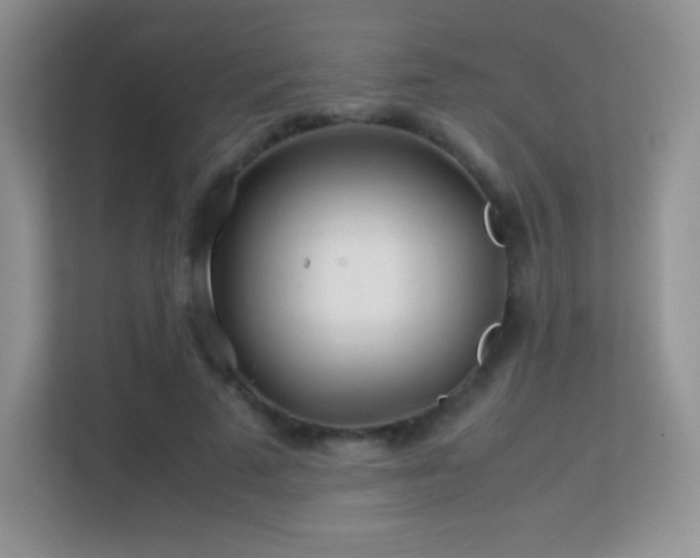 X0000113560689200909251058