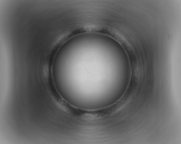 X0000113560690200909251058