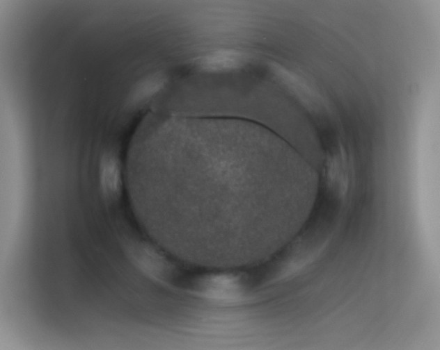 X0000113560692200909251058