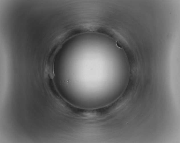 X0000113560693200909251058