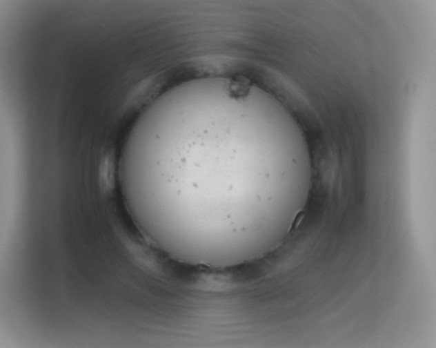 X0000113560694200909251058