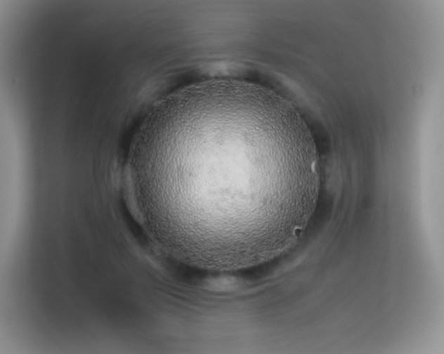 X0000113560695200909251058