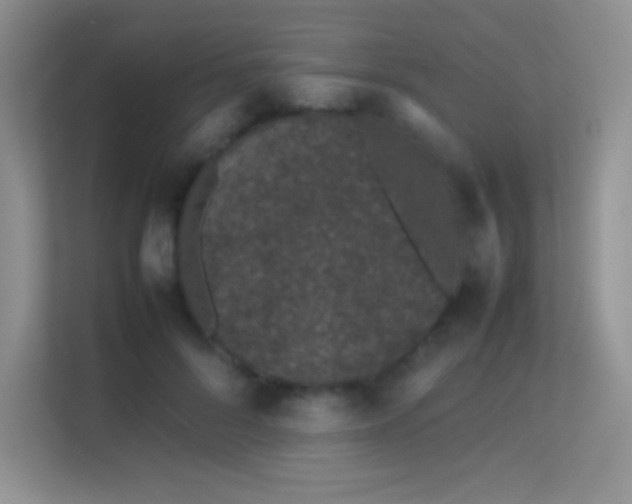 X0000113560696200909251058