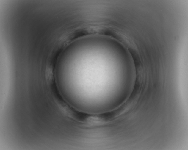 X0000113560699200909251058