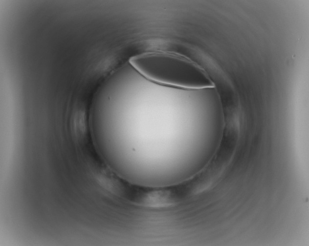 X0000113560700200909251058