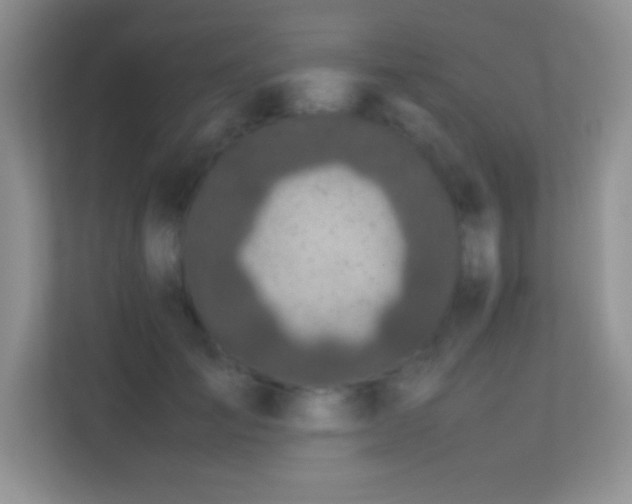 X0000113560701200909251058