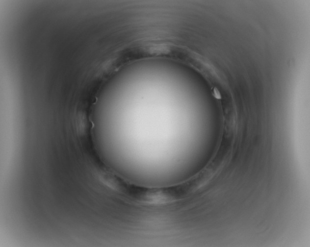 X0000113560704200909251058