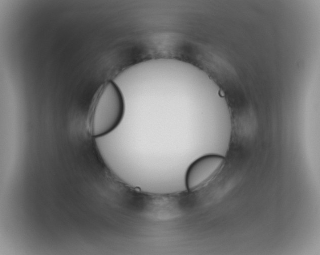 X0000113560709200909251058