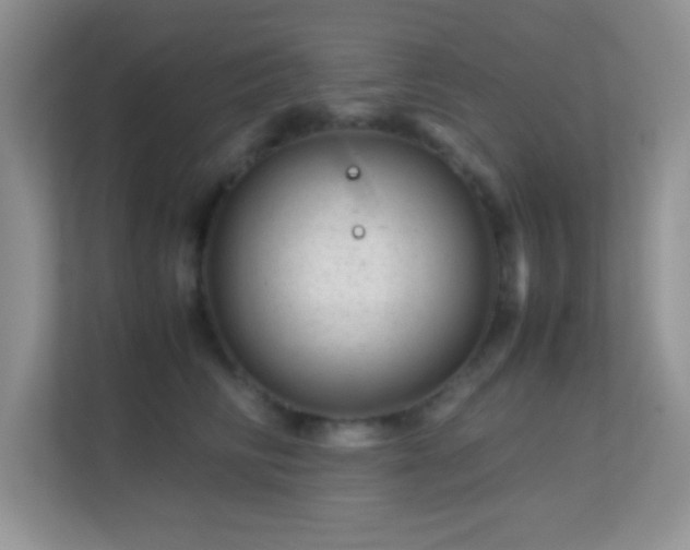 X0000113560710200909251058
