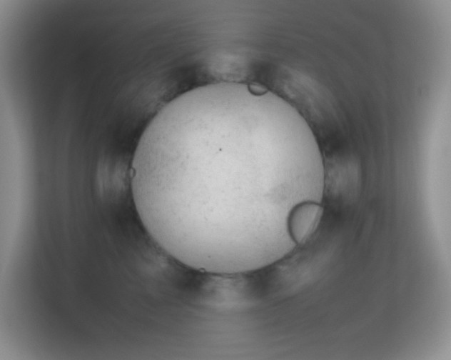X0000113560713200909251058