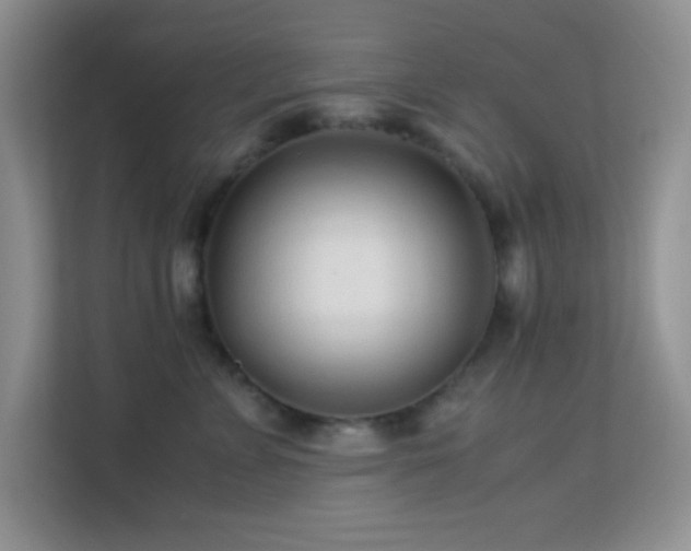 X0000113560715200909251058