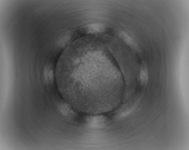 X0000113560716200909251058
