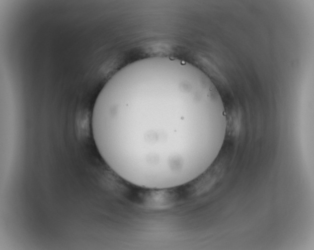 X0000113560717200909251058