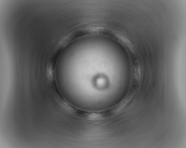 X0000113560718200909251058