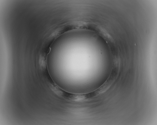 X0000113560719200909251058