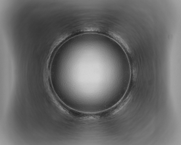 X0000113560721200909251057
