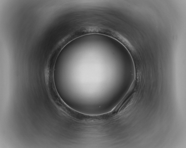 X0000113560722200909251057