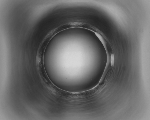 X0000113560723200909251057