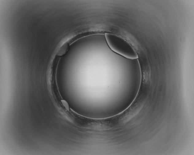 X0000113560724200909251058
