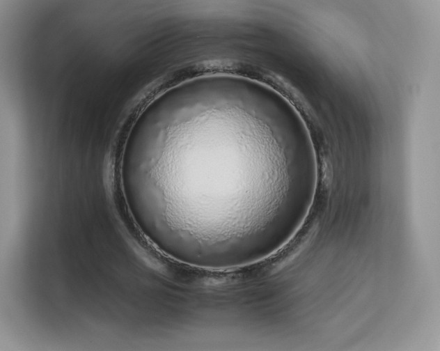 X0000113560725200909251058