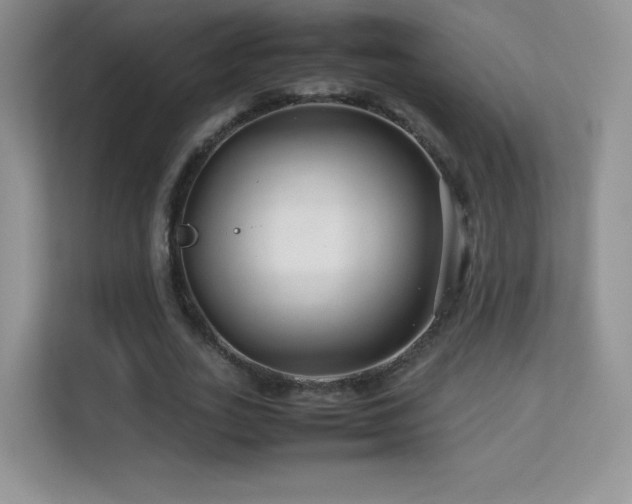 X0000113560727200909251058