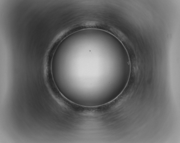 X0000113560728200909251058