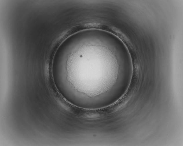 X0000113560729200909251058